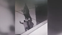 Örümcek adama özenen hırsızlar yakalandı
