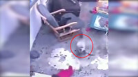Kahraman kedi bebeğin merdivenlerden düşmesini böyle engelledi