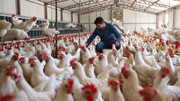 48 bin genç çiftçiye 1,4 milyar lira hibe desteği sağlandı