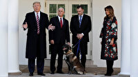 ABD Başkanı Trump Bağdadi operasyonunda görevli köpeğe plaket ve madalya verdi