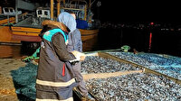 Rize'de 30 ton balığa el konuldu: Balıkçılar hakkında ise idari işlem yapıldı