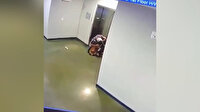 Tasması asansör kapısına sıkışan köpeği son anda kurtardı