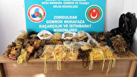 Zonguldak'ta 500 bin liralık kehribar taşı ve ürünü ele geçirildi