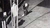 Boğulan köpeği kalp masajıyla hayata bağladı