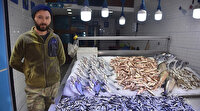 Hamsi Karadeniz'den kaçtı, fiyatı 15 TL'ye çıktı