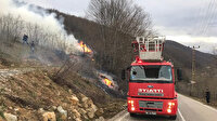 Ordu ve Giresun'daki yangınlar söndürüldü