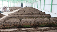 Burdur'dan Irak'a 25 ton solucan gübresi ihracatı