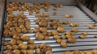 Tarım Bakanlığı kuru soğan ve patates ihracatının kısıtlanmasına açıklık getirdi
