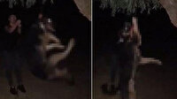 Ağaca astığı köpeği işkence ederek öldürdüğü iddia edilen şüpheli gözaltına alındı