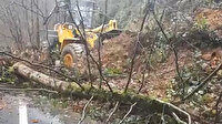 Rize’de heyelan nedeniyle kopan ağaçlar yolu kapattı