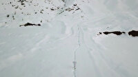 Kapan-3 Kavaklı Operasyonu başladı