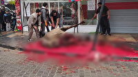 İş yeri önünde deve kesip esnafla kavga eden Iraklı kasap özür diledi