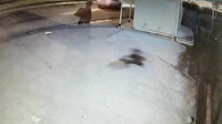 Üniversiteli genç kız metrelerce sürüklenerek feci şekilde hayatını kaybetti