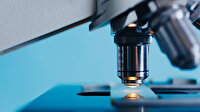Kanserle mücadelede metastazdan sorumlu proteinler saptandı