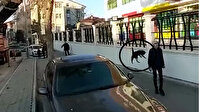 Ağaçta mahsur kalan kedi çocuğun üzerine atladı