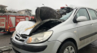 İstanbul’da feci kaza: 3 at telef oldu