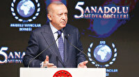 Bu bir işgal projesidir