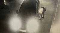 Mehtap'a çarpıp kaçtı lastiğe sıkışan montunu çöpe attı