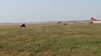 Görevliler havalimanı pistine giren maymunları ayı kostümüyle kovaladı