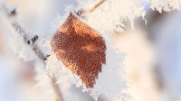 Meteorolojiden 2 bölgeye zirai don uyarısı