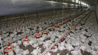 Beyaz et sektörünün gözü Çin pazarında