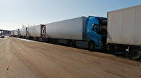 Uyarılara aldırmadılar: 250 TIR dolusu domates çöpe gidebilir