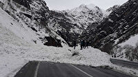 Hakkari-Çukurca karayoluna çığ düştü: Araçlar yolda kaldı