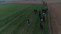 Edirne'de göçmenler Yunanistan sınırına yürüyor