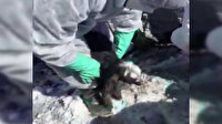 8 gün sonunda enkaz altından mucize kurtuluş