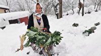 En uzun ömürlü insanlarının yaşadığı ilçe 'koronavirüsten' böyle korunuyor