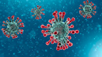 Bilim insanlarından uyarı: Koronavirüs henüz başlangıç, dünya yeni salgınlara hazır olmalı