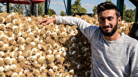 Koronavirüs sarımsağın fiyatını yüzde yüz artırdı