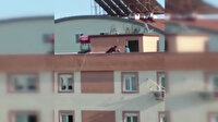 Koronavirüs hayatı damlara taşıdı: Kimi spor yaptı, kimi saç tıraşı oldu