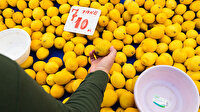 3 üründe fiyatlar uçuşa geçti: Limonun ihracatı durdurulabilir