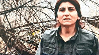 Elebaşı Kandil’de vuruldu: MİT ve TSK'nın ortak operasyonu sonucu öldürüldü