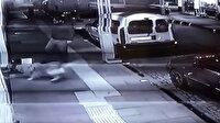 Vicdansız adam köpeğini yeni doğum yapmış kedi ve yavrularının üzerine saldı