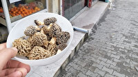 Kilosu 130 lira tezgahta yarım saatte tükeniyor: Siparişlere yetişemiyor