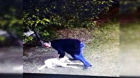 Kayseri'de köpek hırsızlığı güvenlik kameralarına yansıdı
