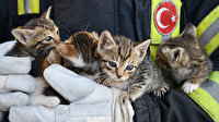 İtfaiye, annelerinin terk ettiği yavru kedileri kurtardı
