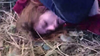 Boşanmak isteyen eşini dövüp sosyal medyada paylaşan cani koca hakkında 21 yıl hapis istendi