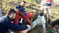 Mantar toplarken canından oluyordu: Önce kurtarıldı sonra ceza yedi
