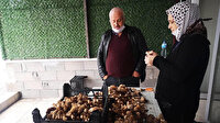 Kurutulmuş kuzugöbeği mantarı 800 liraya satılıyor