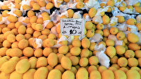 Limonda ihracat kısıtlaması çiftçiyi vurdu: Tarlada fiyat düştü ama pazar-manavda değişmedi
