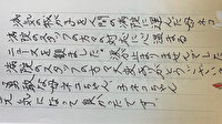 Japon kadın, kediyi tedavi eden Türkiye'deki hastaneye 2 bin lira bağışladı