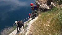 Kayalıklarda mahsur kalan keçiyi AFAD ekipleri kurtardı