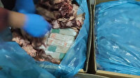 Et dolu kolilerin arasına gizlenmiş 355 kilo eroin ele geçirildi