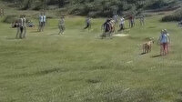 Kısıtlamaya rağmen ormanlık alanda mangal yakıp futbol oynadılar