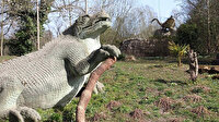 Dinozorların neslinin tükenmesine neden olan asteroitin Dünya'ya en ölümcül açıyla isabet ettiği ortaya çıktı