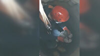 Su kuyusuna atılan köpek yavrularını itfaiye kurtardı