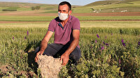 Tarlada buldu: Sahibinden satılık göktaşı